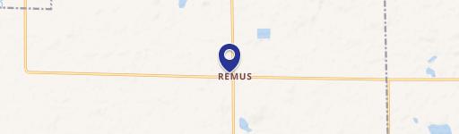 Remus, MI 49340