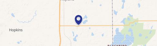 Shelbyville, MI 49344