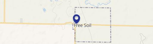 Free Soil, MI 49411