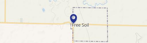 Free Soil, MI 49411