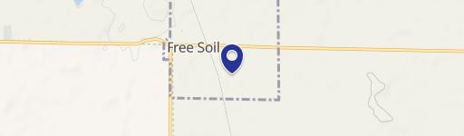 Free Soil, MI 49411