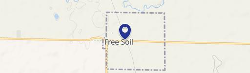 Free Soil, MI 49411