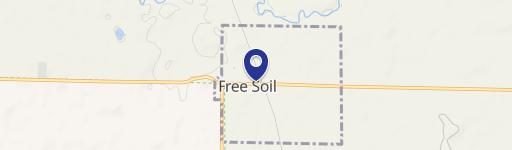 Free Soil, MI 49411
