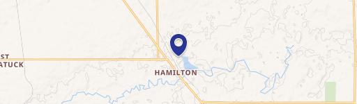 Hamilton, MI 49419