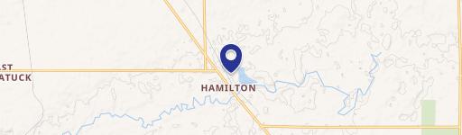 Hamilton, MI 49419