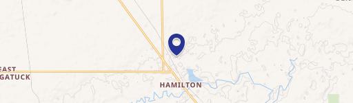 Hamilton, MI 49419
