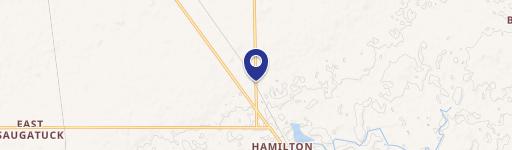 Hamilton, MI 49419