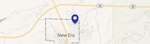 New Era, MI 49446