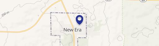 New Era, MI 49446