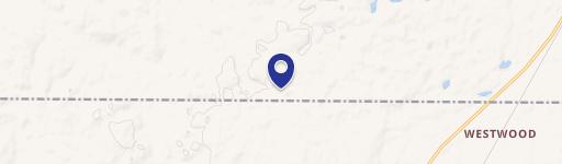 3985 Ricksgers Logging Trl