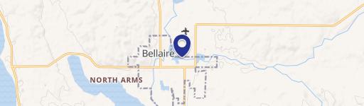 Bellaire, MI 49615