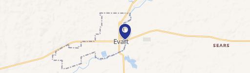 Evart, MI 49631