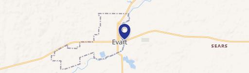 Evart, MI 49631