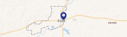 Evart, MI 49631