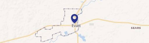 Evart, MI 49631