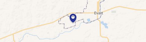 Evart, MI 49631