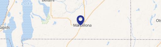 Mancelona, MI 49659