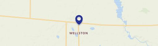 Wellston, MI 49689