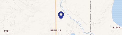 Brutus, MI 49716
