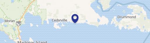 Cedarville, MI 49719