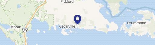Cedarville, MI 49719