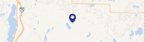 Johannesburg, MI 49751