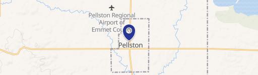 Pellston, MI 49769