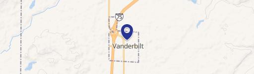 Vanderbilt, MI 49795