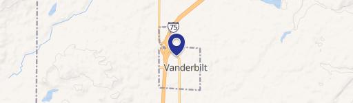 Vanderbilt, MI 49795