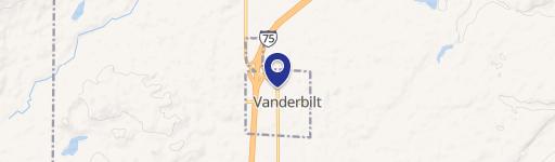 Vanderbilt, MI 49795