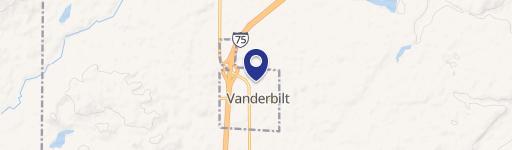 Vanderbilt, MI 49795