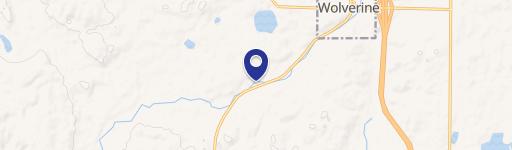 Wolverine, MI 49799