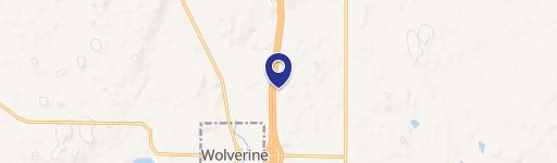 Wolverine, MI 49799