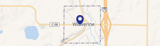 Wolverine, MI 49799