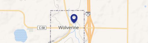 Wolverine, MI 49799