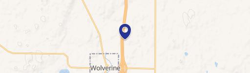 Wolverine, MI 49799