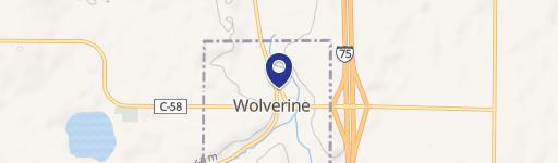 Wolverine, MI 49799