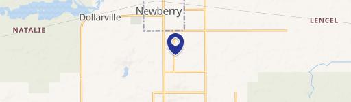 Newberry, MI 49868