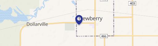 Newberry, MI 49868