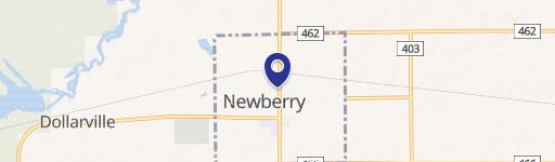 Newberry, MI 49868