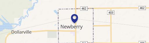 Newberry, MI 49868