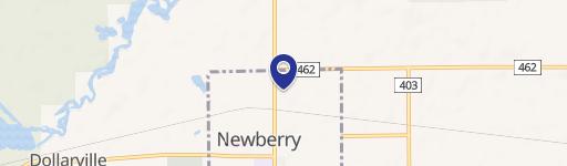 Newberry, MI 49868