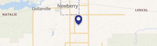 Newberry, MI 49868