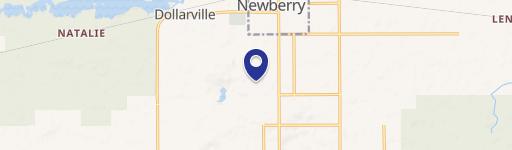 Newberry, MI 49868