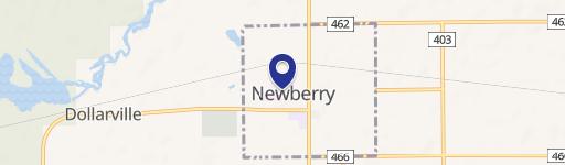 Newberry, MI 49868