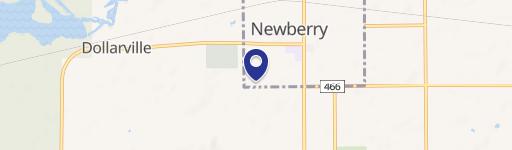 Newberry, MI 49868