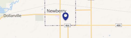 Newberry, MI 49868