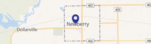 Newberry, MI 49868