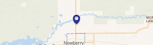 Newberry, MI 49868