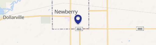Newberry, MI 49868